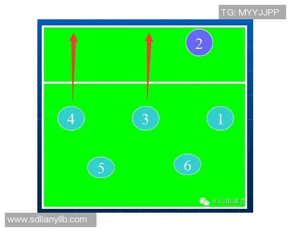 南京排球队的战术分析与控制能力的得失探讨