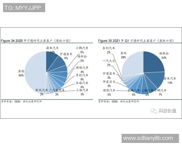 广州羽毛球队战术表现数据分析揭示的关键因素与未来发展方向 广州羽毛球队战术表现数据分析揭示的关键因素与未来发展方向
