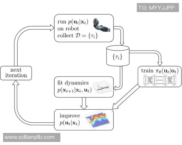 武汉羽毛球队耐力对比深度解析及训练策略探讨 武汉羽毛球队耐力对比深度解析及训练策略探讨