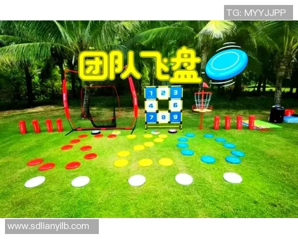 热议飞盘运动西安飞盘队如何实现技术革新与团队协作提升