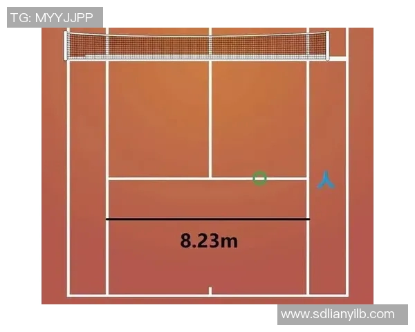 上海网球队的灵活性分析与发展策略探讨