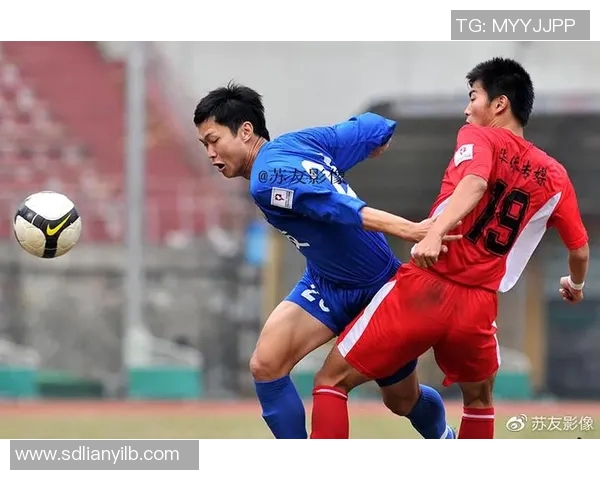 南京极限运动队转型之路：成就与挑战并存的深度分析