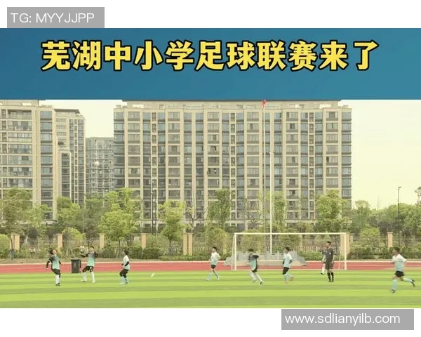 2023年芜湖足球明星邀请赛参赛球员名单及赛程安排详解